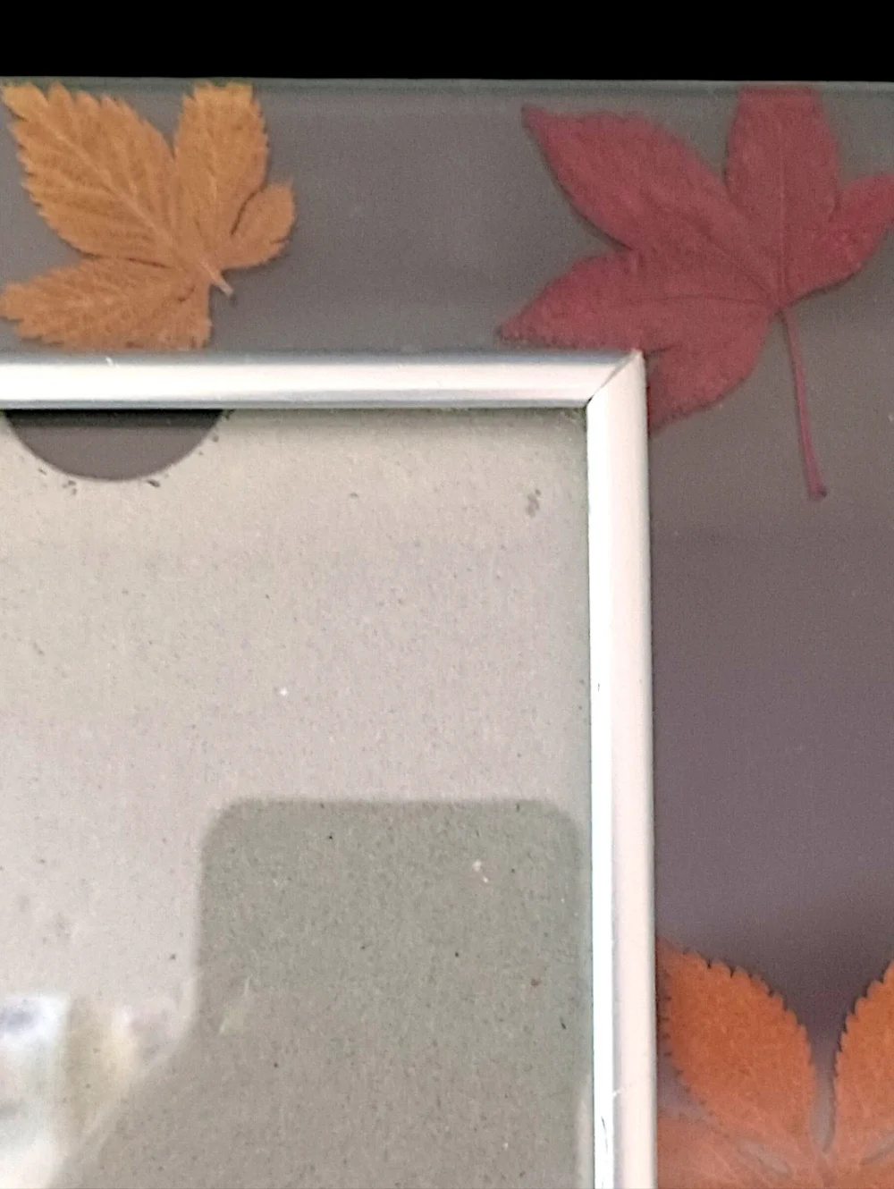 Vtg Dried Pressed Leaf Picture Photo Frame Lead Glass‎ Maple Leaves Farmhouse